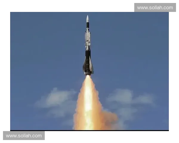 围绕擅长出紫苑的英雄构建团队战术体系与多维实战运用解析全面性